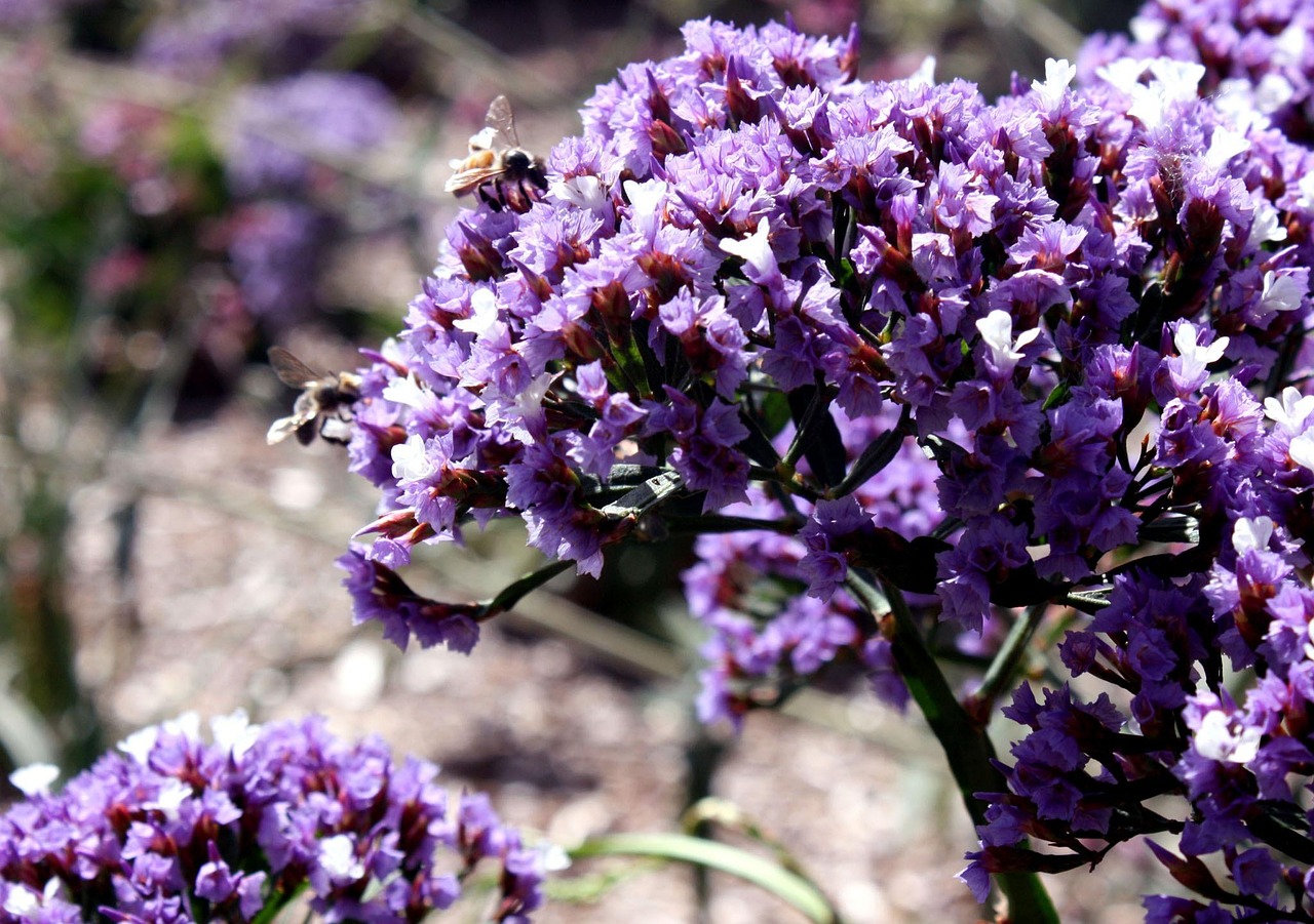 融金所最新安全動態(tài)，保障用戶安全，穩(wěn)健金融生態(tài)建設(shè)之路