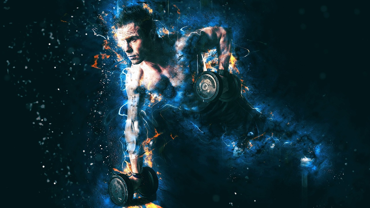 二次元世界的健康美學(xué)探索，動漫身體測定之旅