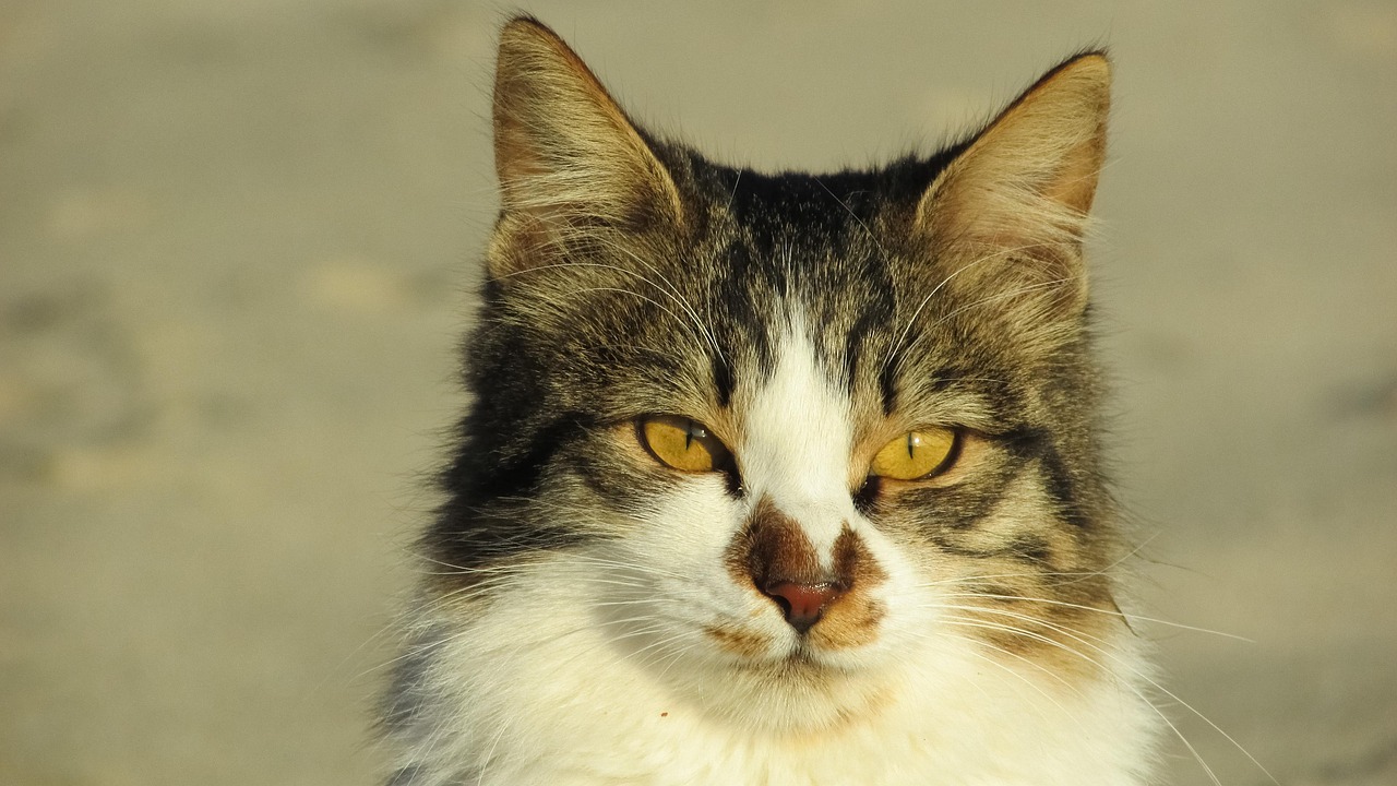 2025年3月 第455頁(yè)