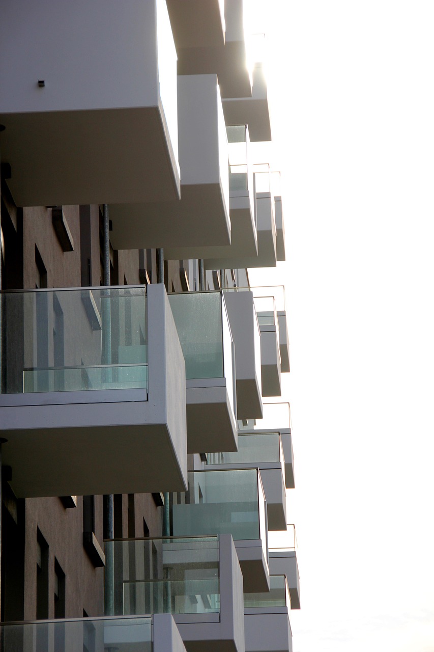 明月本無心 第11頁