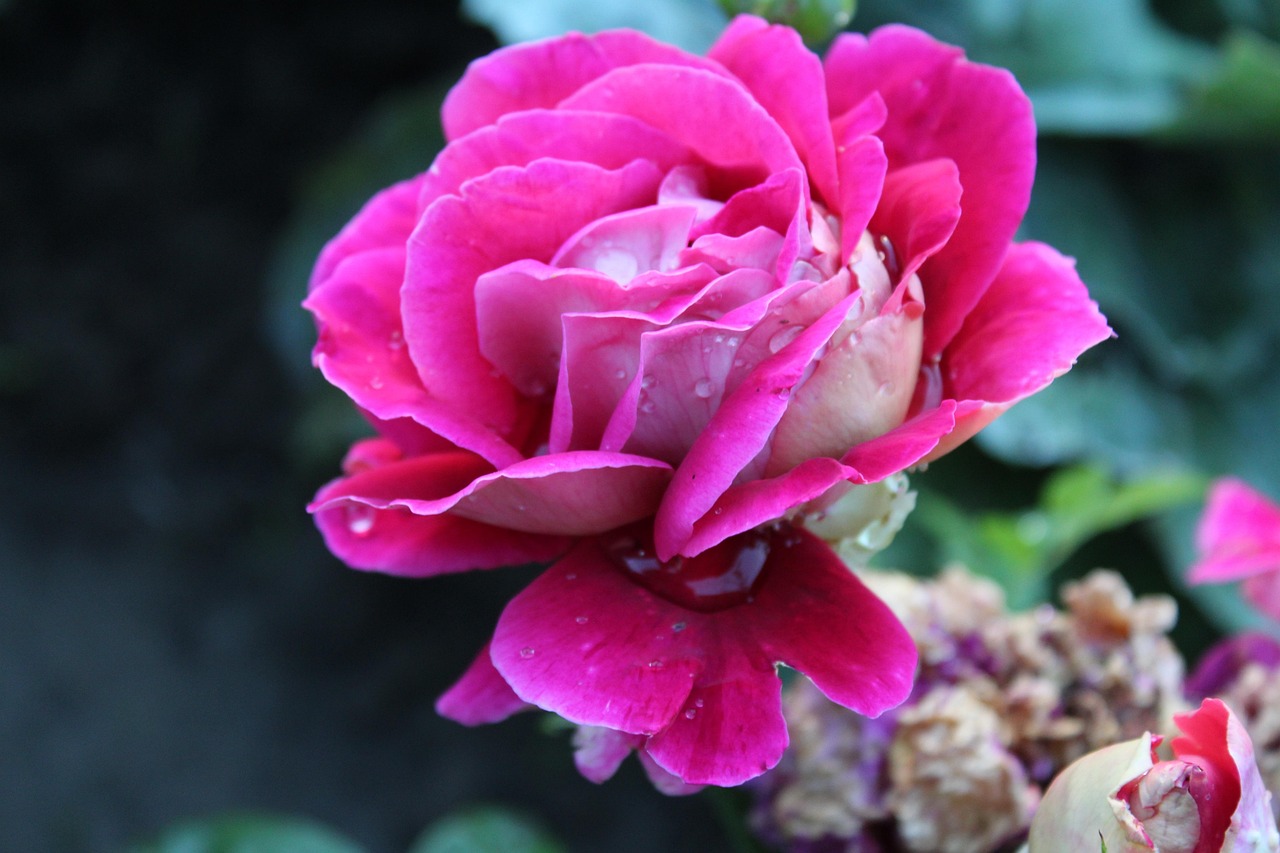 可悲笑話 第11頁