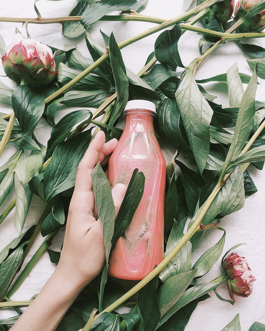 南通水果批發(fā)價(jià)格行情詳解與深度解析