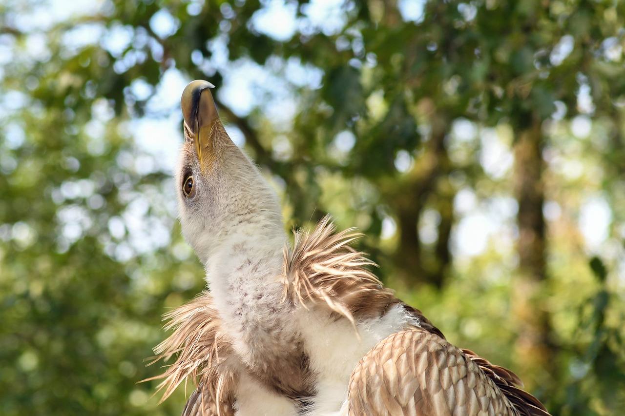 餓了么上市最新動(dòng)態(tài)及市場(chǎng)趨勢(shì)與前景展望