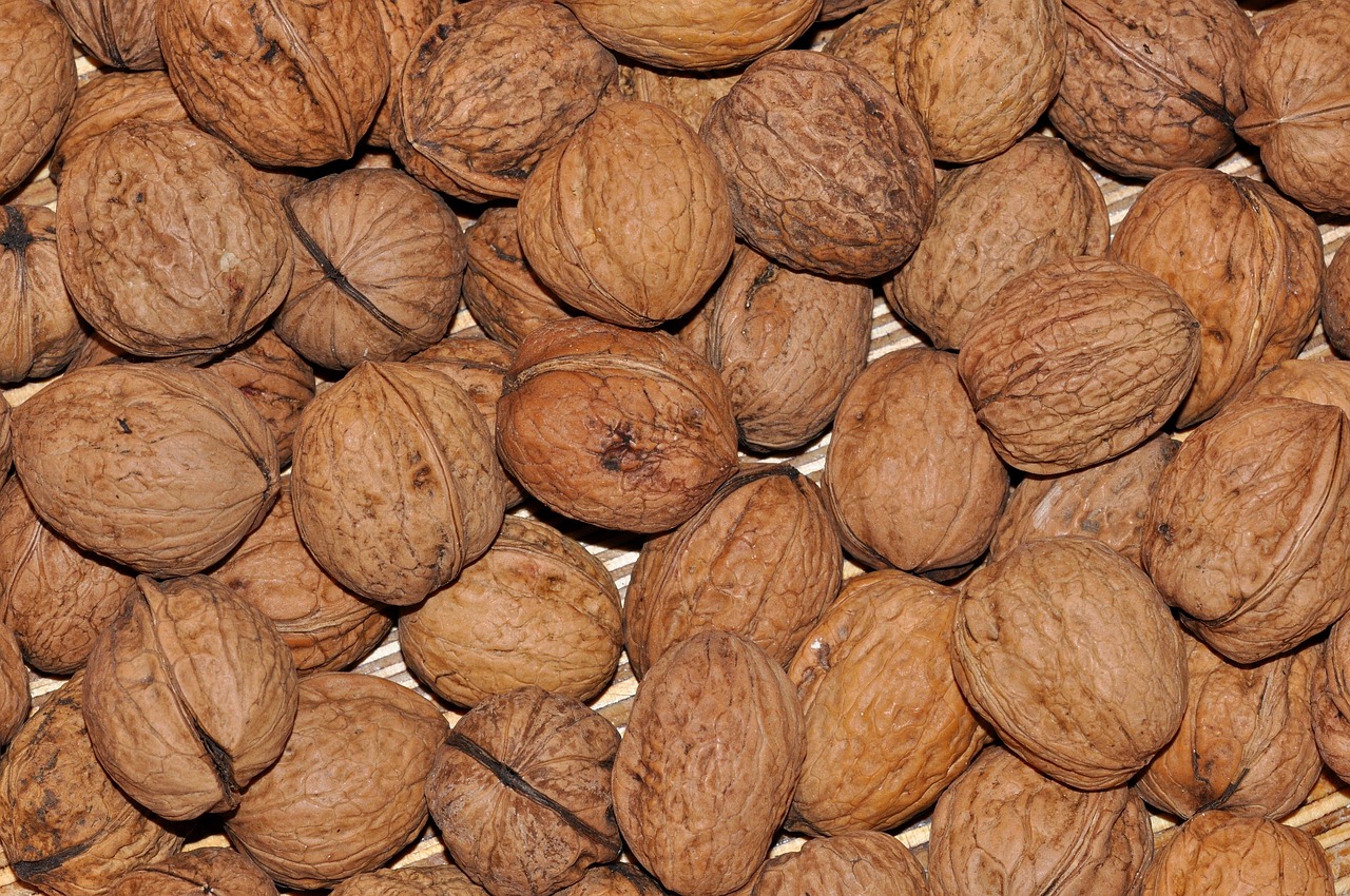 四棱核桃價(jià)格及圖片介紹