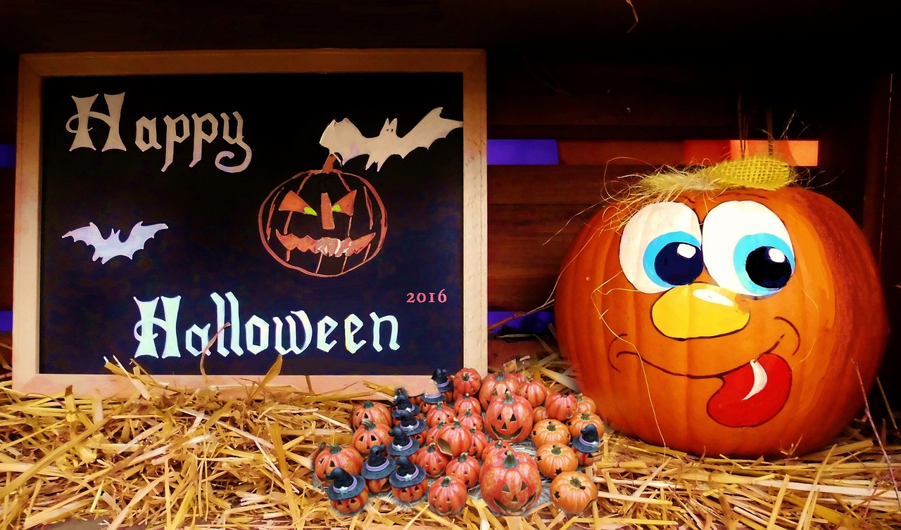 狐妖小紅娘最新動態(tài)揭秘，奇幻世界的神秘之旅