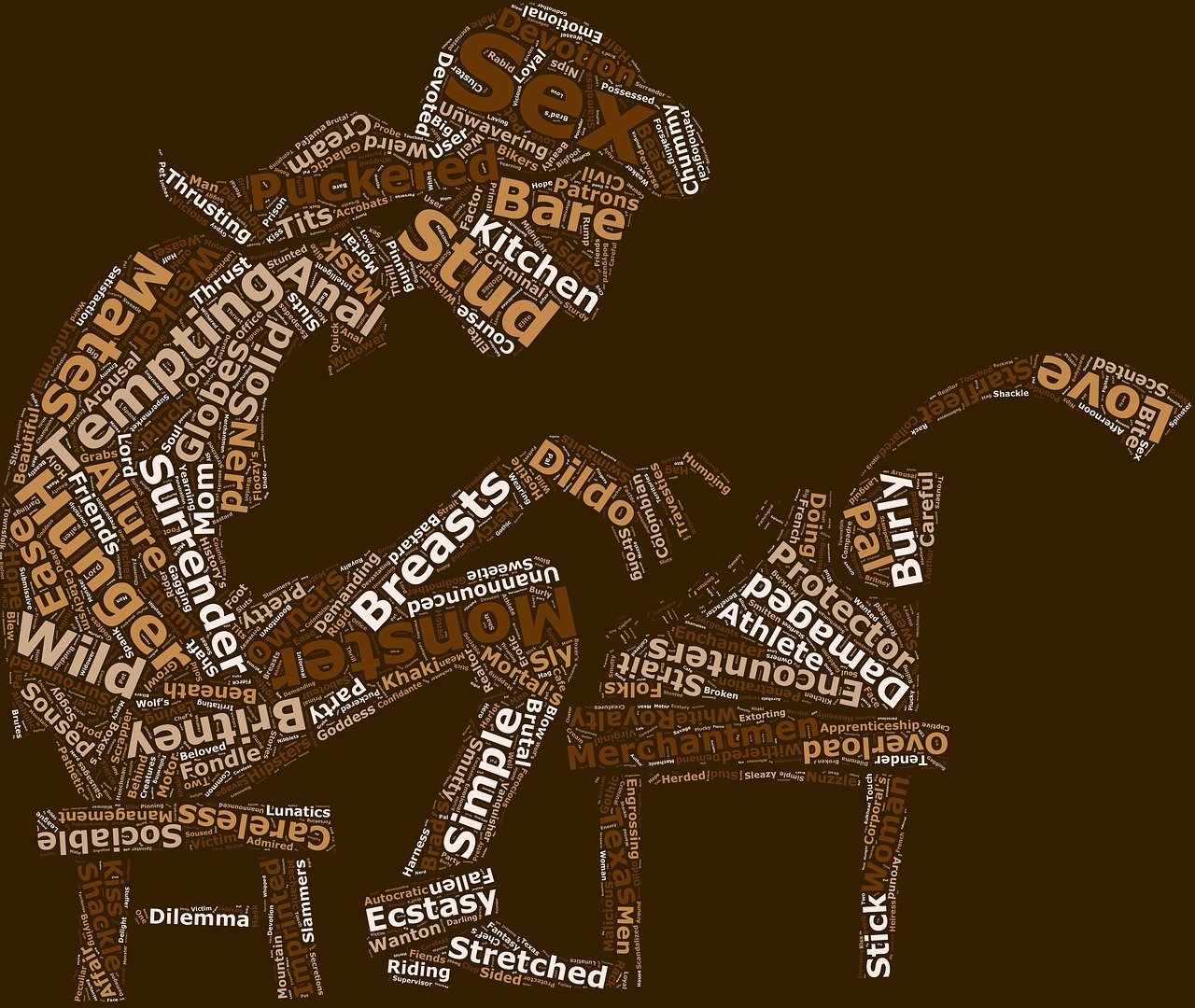 成人電影小說(shuō)的多維度影像敘事藝術(shù)探索