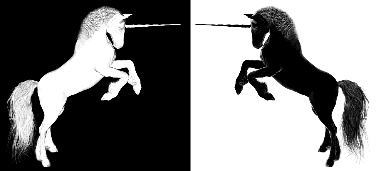 揭秘龍卷風(fēng)最新動(dòng)態(tài)，探索神秘面紗與防范策略