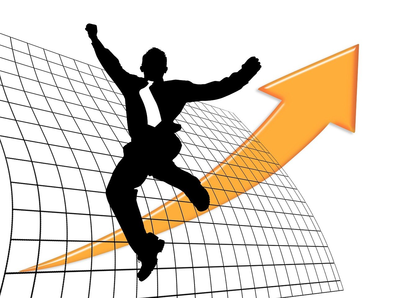 烏雞行情，市場(chǎng)走勢(shì)回顧與未來(lái)發(fā)展展望