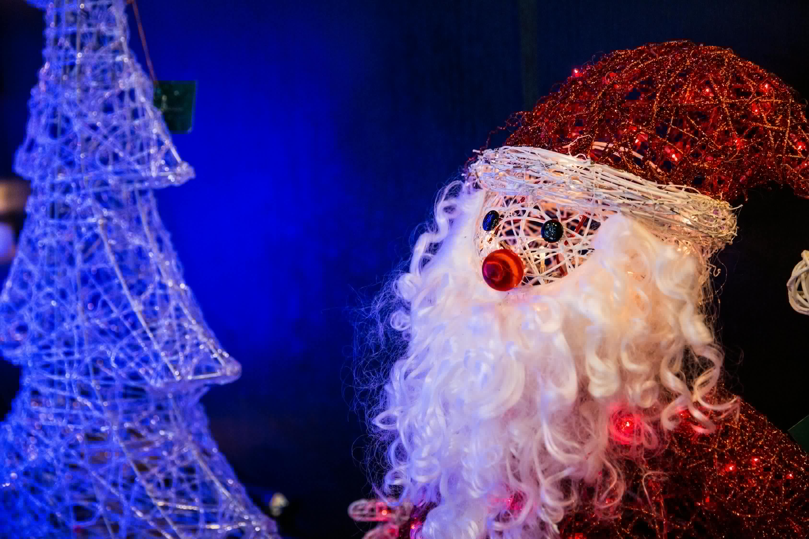 櫻花動(dòng)漫圖片，夢(mèng)幻世界的視覺之旅