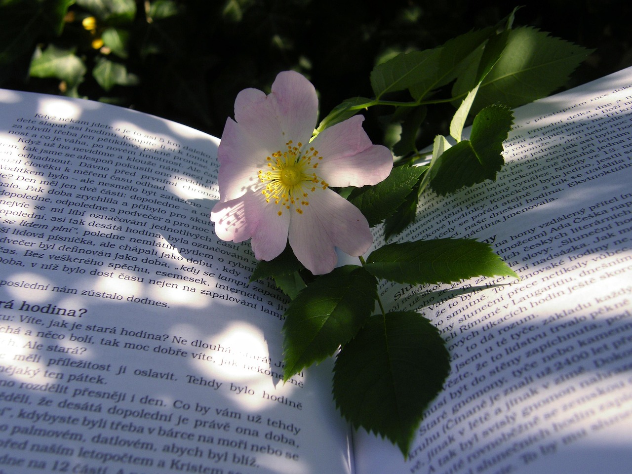青春成長與情感交織，十七歲的雨季電影回顧
