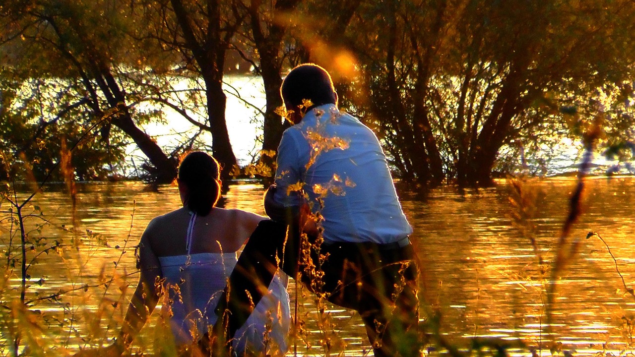 再見最愛的人，情感、記憶與影像的交織之旅