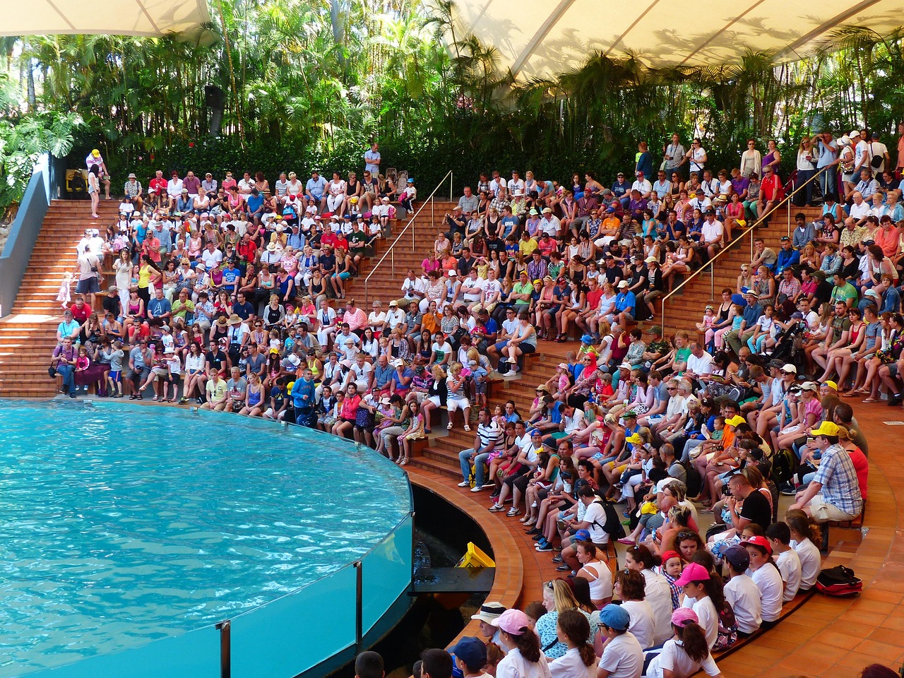 美譽比賽，展現(xiàn)才華與魅力的競技舞臺