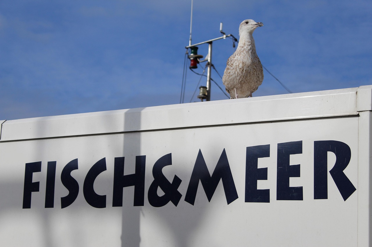 石家莊永昌蓄勢(shì)待發(fā)，展現(xiàn)新篇章的最新動(dòng)態(tài)