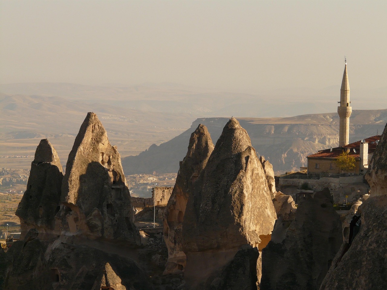 沈陽最新動態(tài)，城市發(fā)展的步伐與未來展望展望