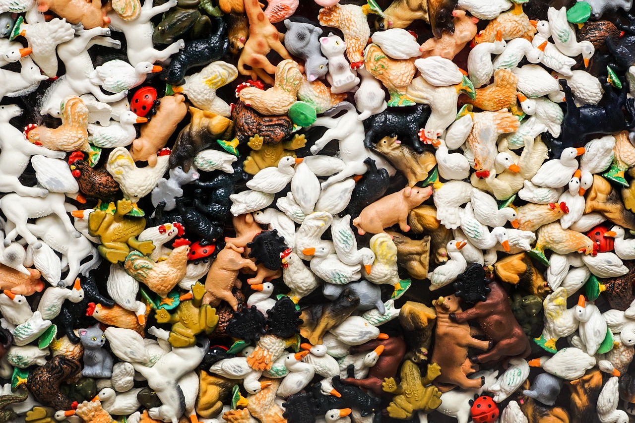 臺(tái)灣掛雞比賽，別開生面的競(jìng)技盛宴