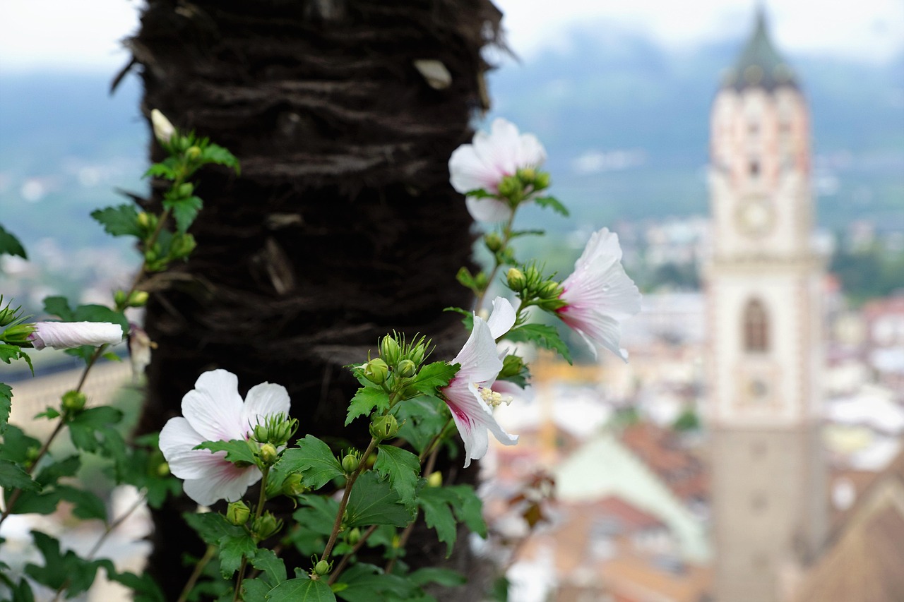 三月末的善心匯深度洞察，最新動(dòng)態(tài)與行動(dòng)展望