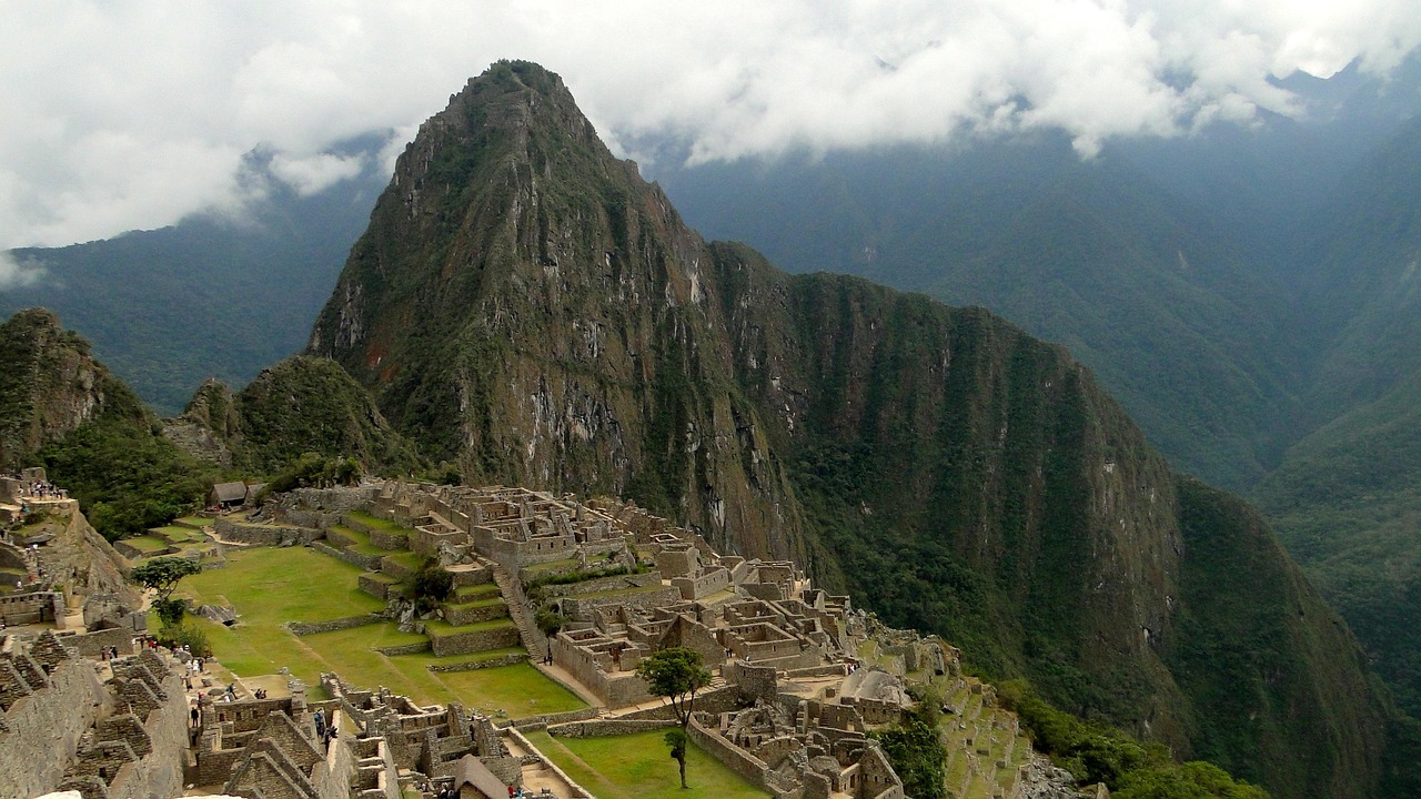 貓女新動態(tài)揭秘，現(xiàn)代都市中的新貓文化探索