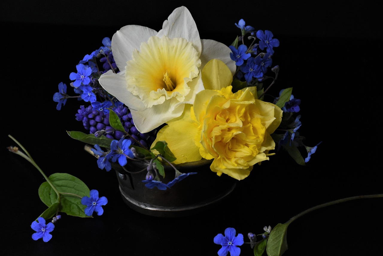 最新萌娃頭像歐美風(fēng)，時(shí)尚潮流與純真可愛的完美融合