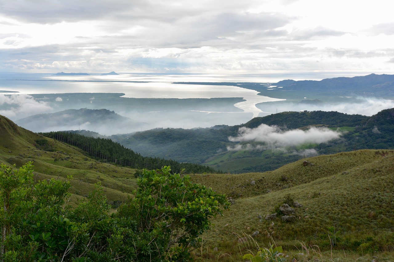 非農(nóng)行情圖片，揭示市場(chǎng)動(dòng)態(tài)與趨勢(shì)的力量