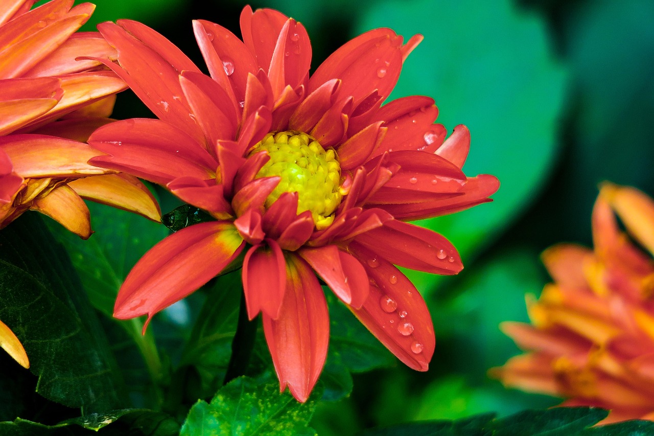 合安高鐵進(jìn)展順利，最新動態(tài)揭示未來值得期待