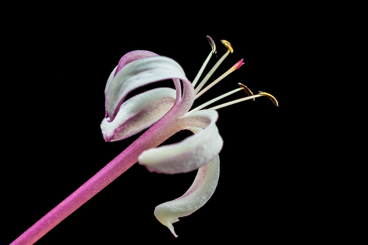 精選推薦，2017最新動(dòng)漫頭像精選合集與頭像推薦