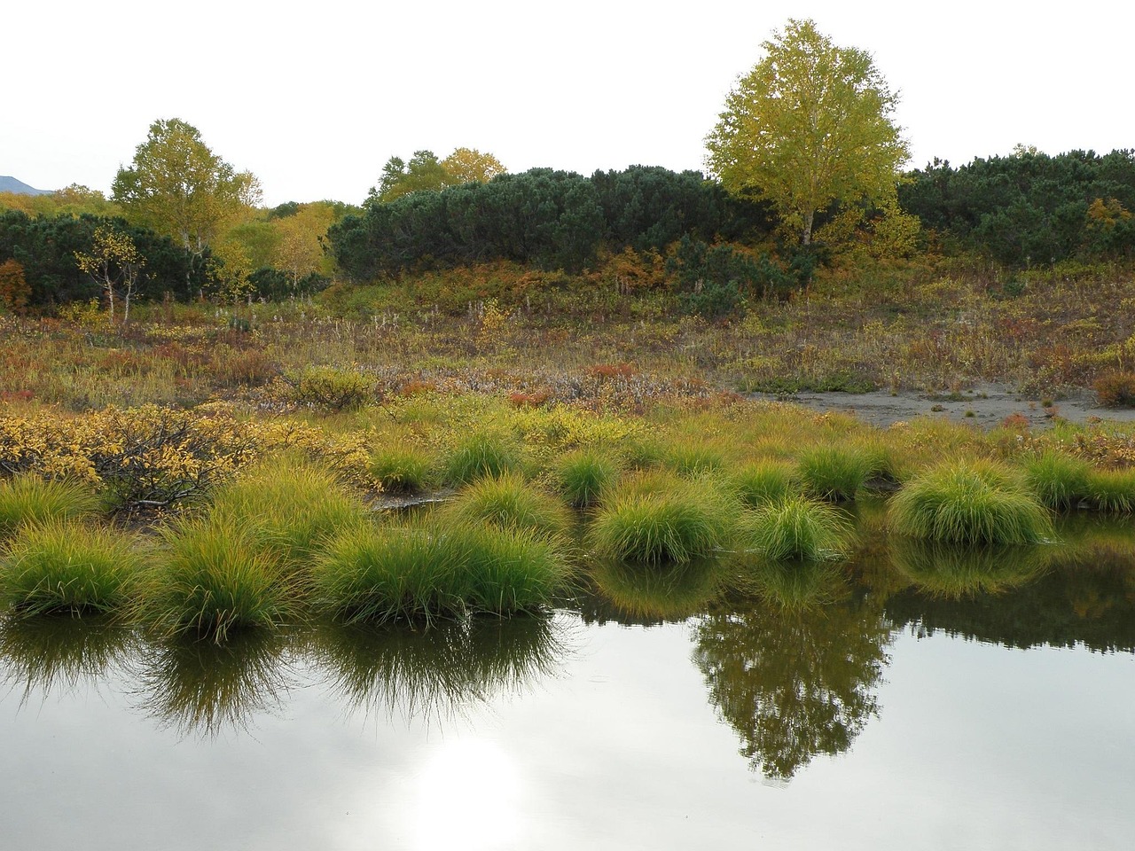 聊城高唐貼吧最新動(dòng)態(tài)，城市脈搏的實(shí)時(shí)更新