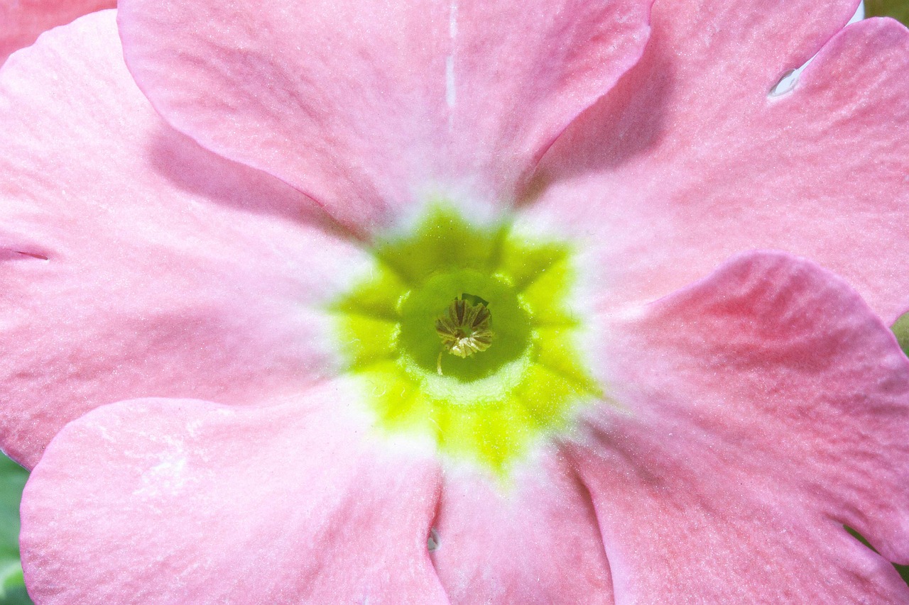 固安中宏新界最新動態(tài)揭秘，探索發(fā)展前沿，引領(lǐng)未來趨勢