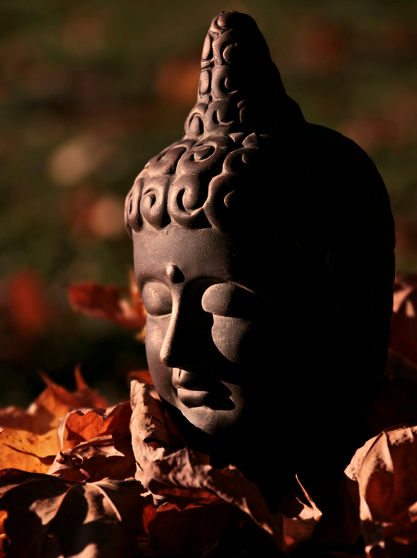 魔力純心演員表及角色深度解析