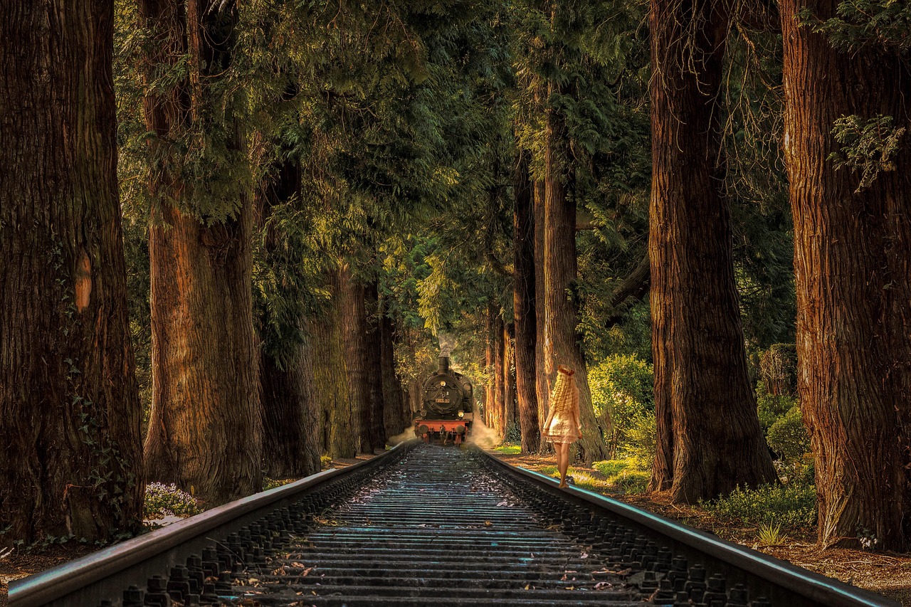 明星遷徙背后的故事，移星閃耀，探索遷徙之旅