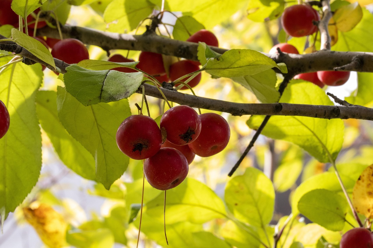 上港最新動(dòng)態(tài)，雄心壯志邁向未來
