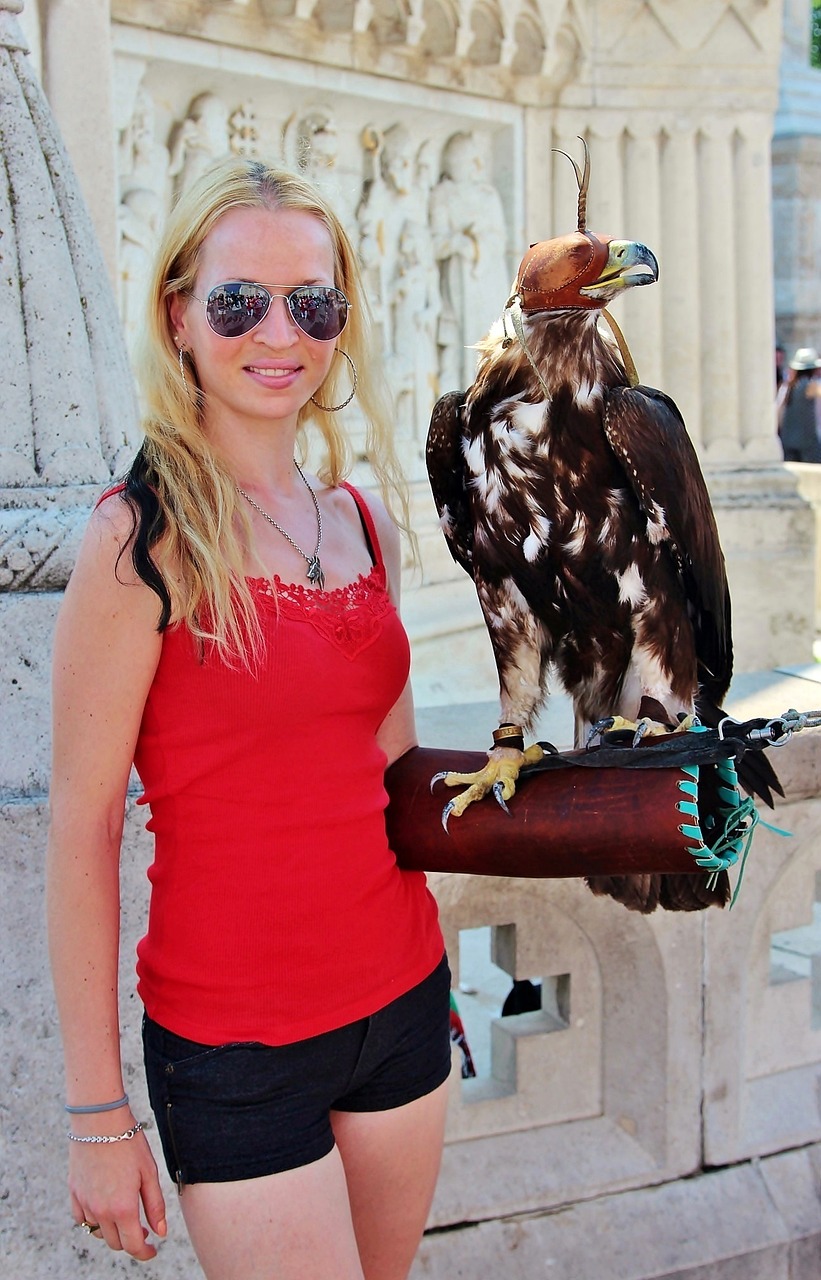 伊朗疫情最新動(dòng)態(tài)，挑戰(zhàn)與應(yīng)對(duì)策略更新