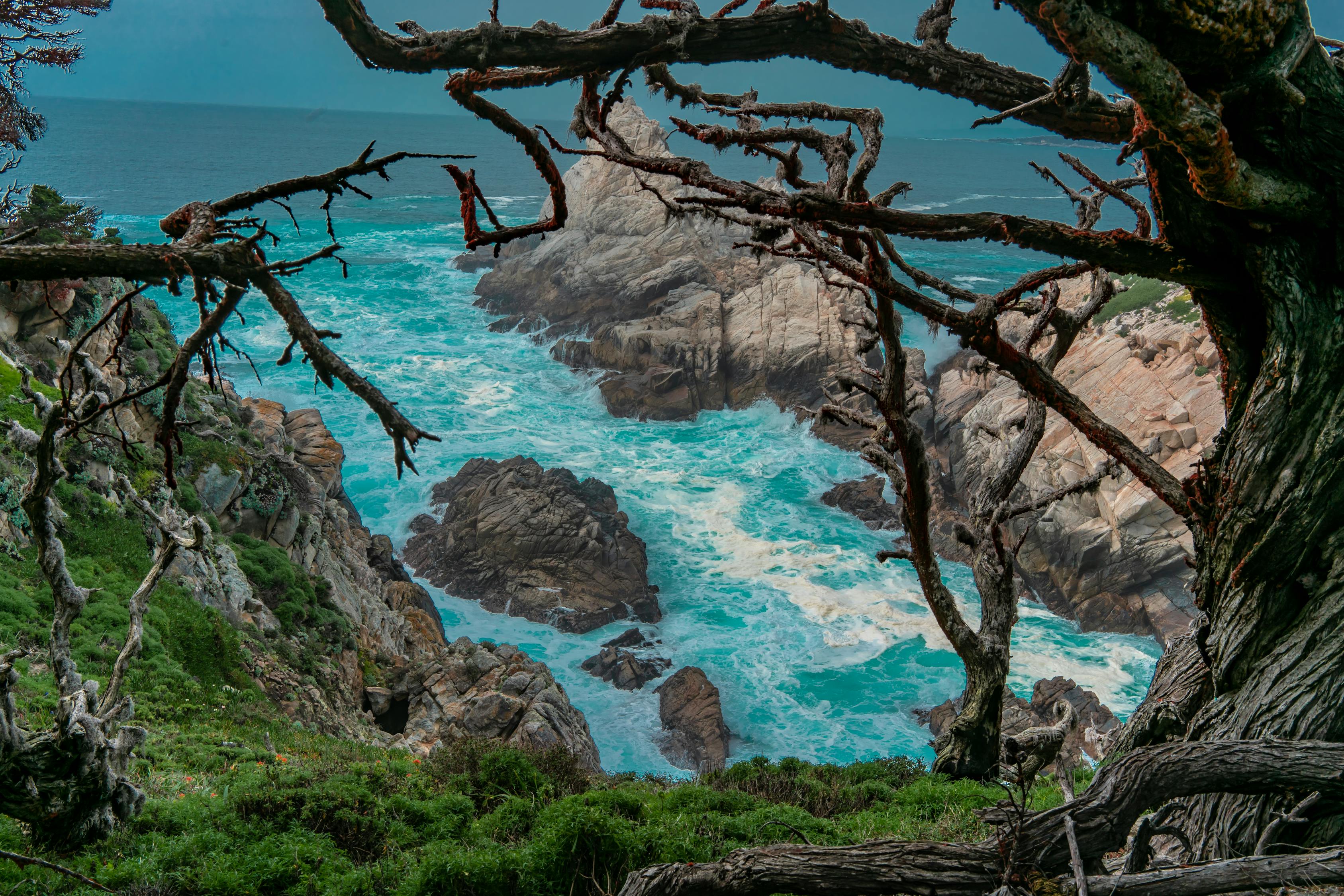 秋霞精選集，自然之美與藝術(shù)之韻的絕佳融合