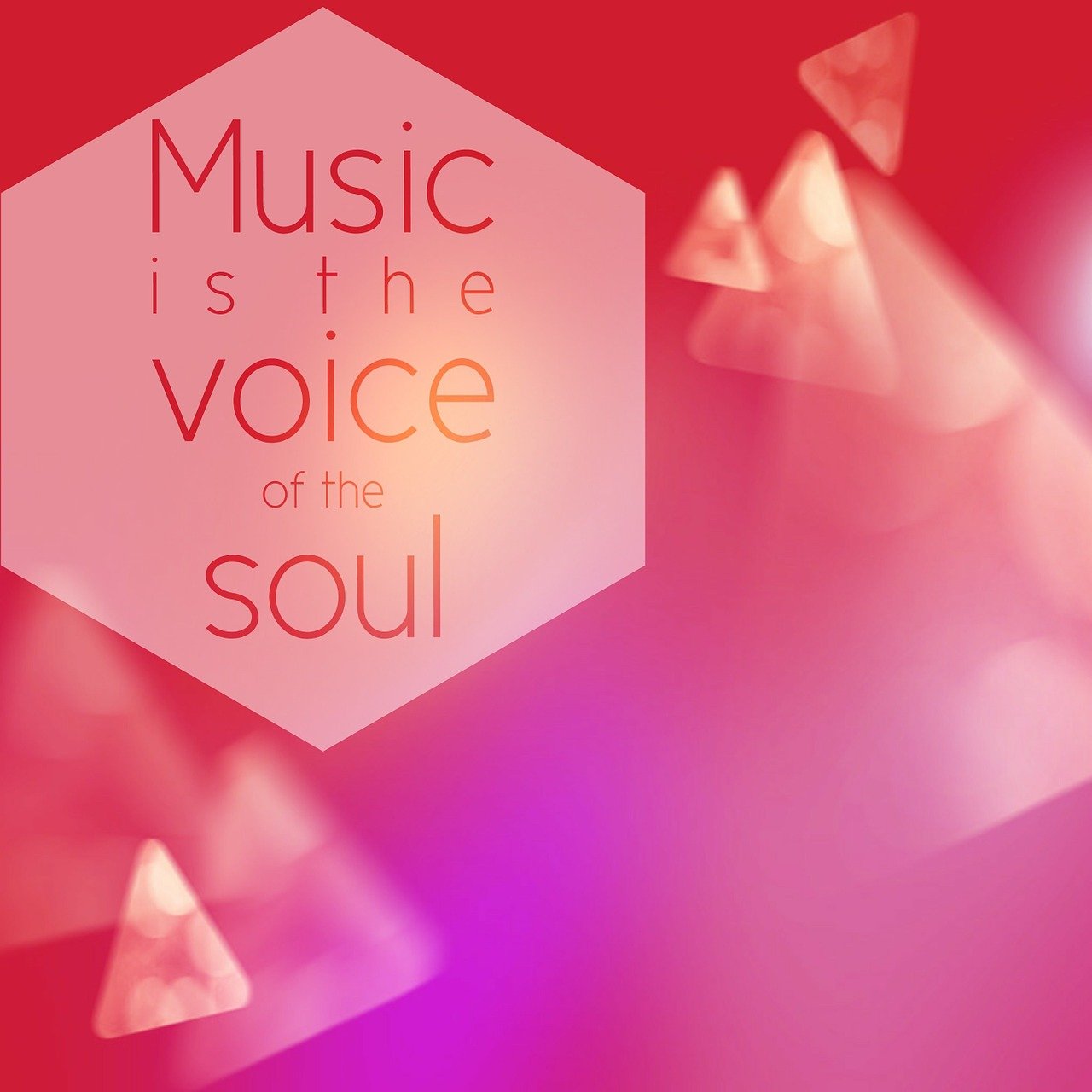 音樂盛宴，激情與藝術(shù)的交響主持詞回顧。