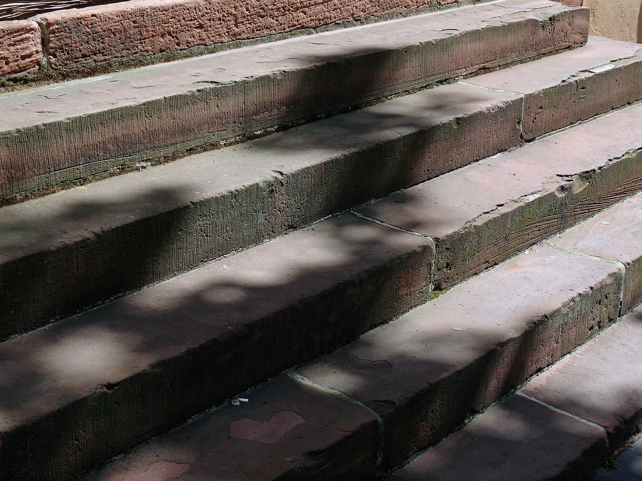 寶樂滋羊奶粉品質(zhì)升級與市場拓展最新動態(tài)，開啟新篇章