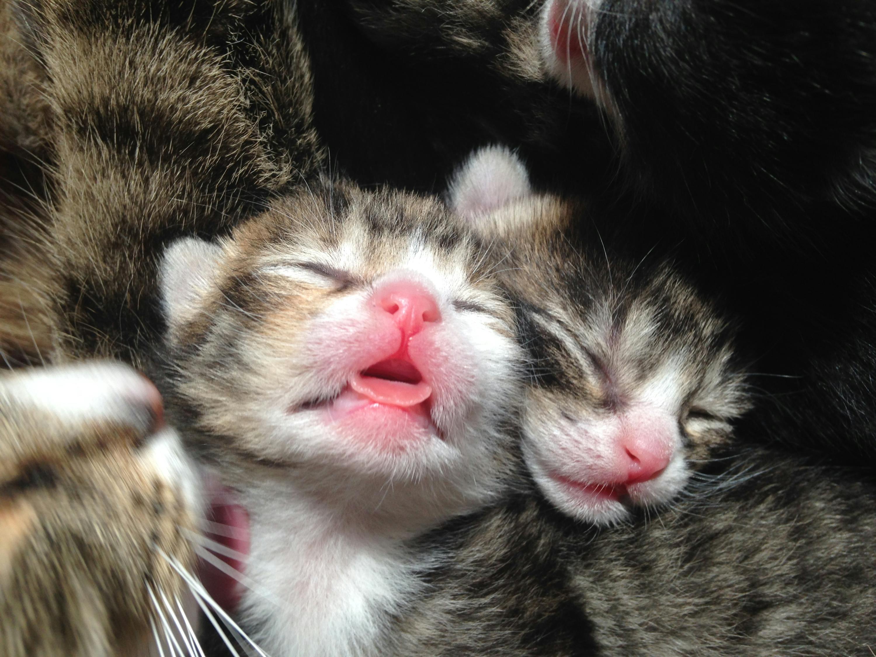 精選閨蜜頭像，記錄獨(dú)特友情的瞬間 2023最新更新