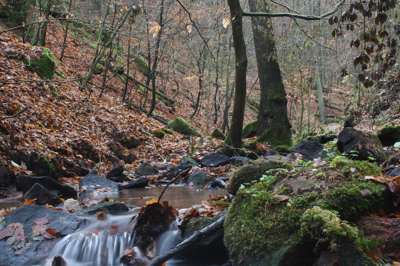 宋仲基最新動態(tài)揭秘，揭開明星生活的神秘面紗之旅