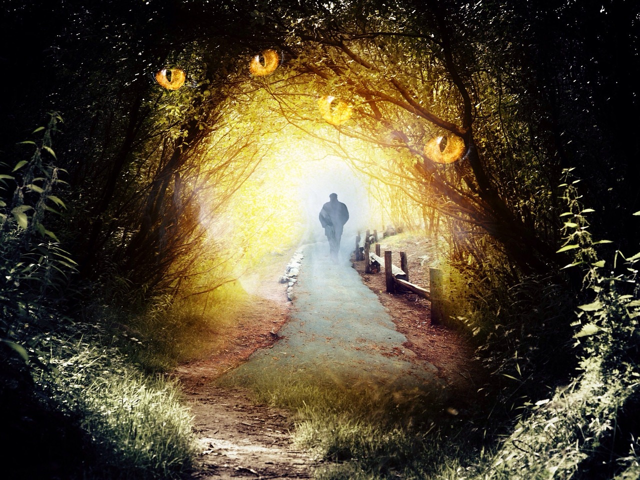 魔獸最新劇情，黑暗與光明的交匯點決戰(zhàn)時刻