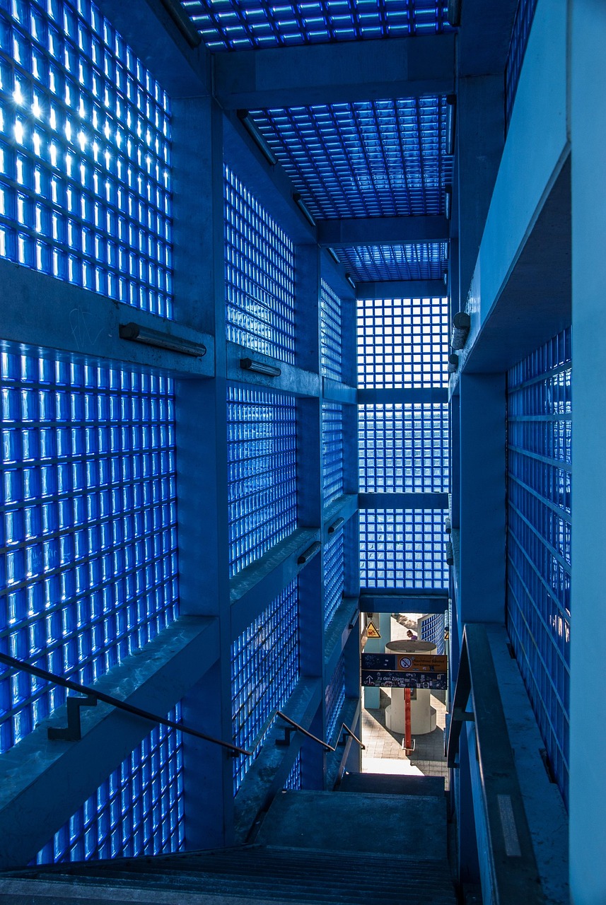 藍(lán)約鵠最新動態(tài)，科技革新與綠色理念的未來引領(lǐng)者