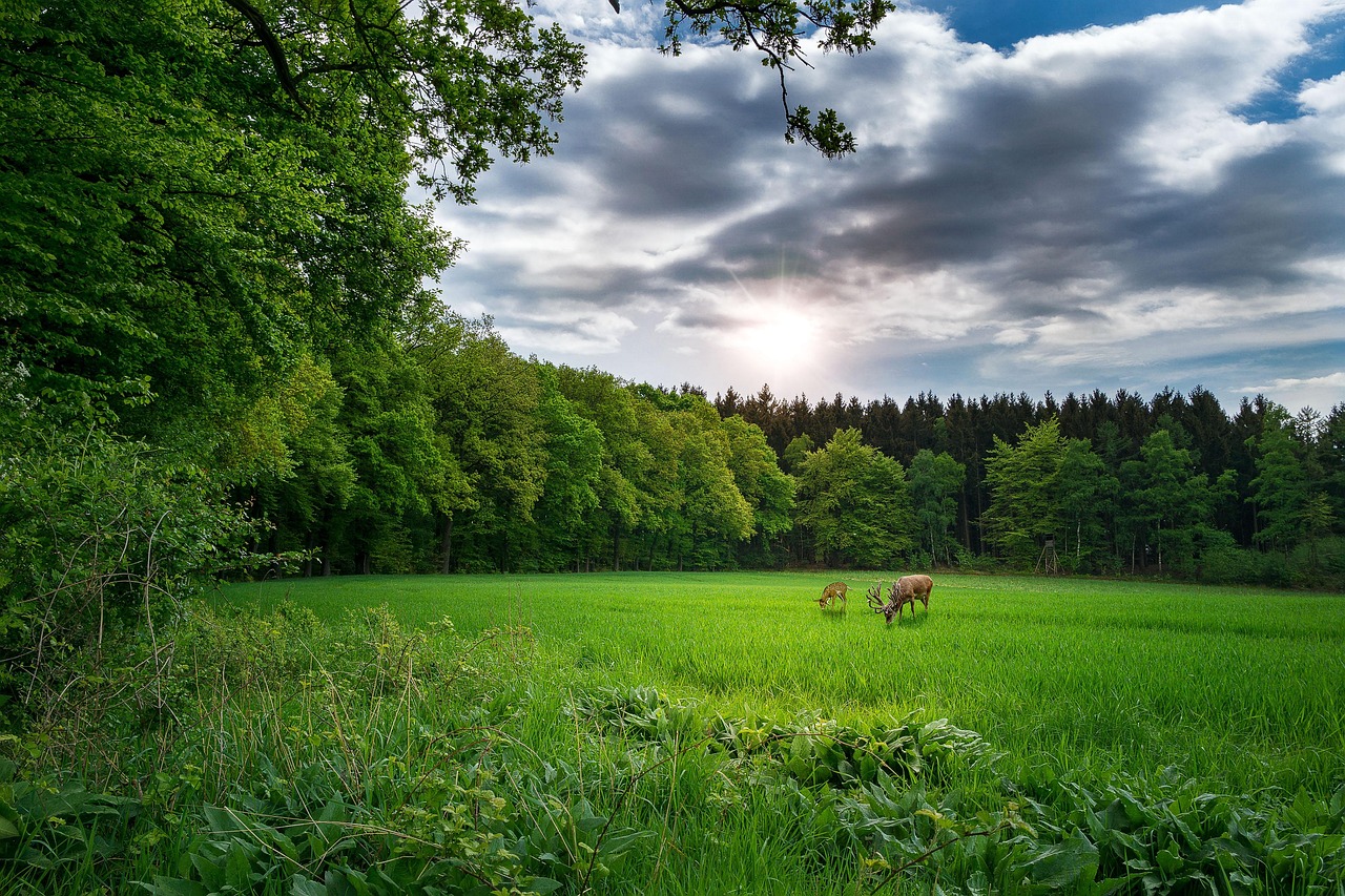 昆山華府莊園最新動態(tài)深度解析與報道
