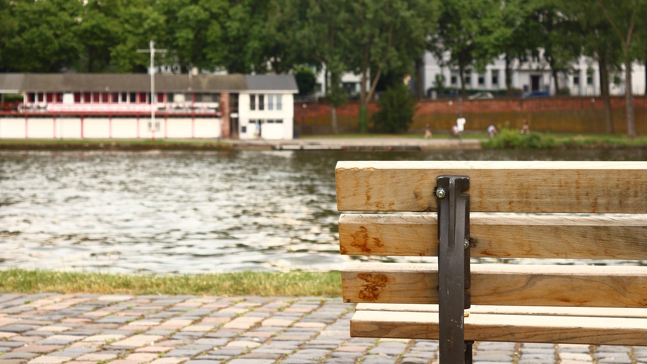 武漢最新動態(tài)，城市復蘇與未來展望