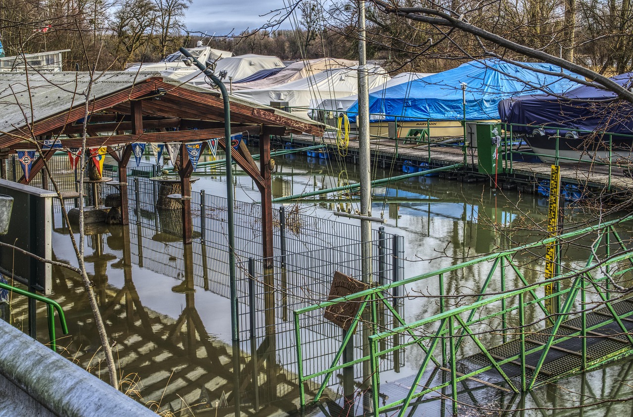 邵東紅網(wǎng)最新資訊概覽，一網(wǎng)打盡最新動(dòng)態(tài)