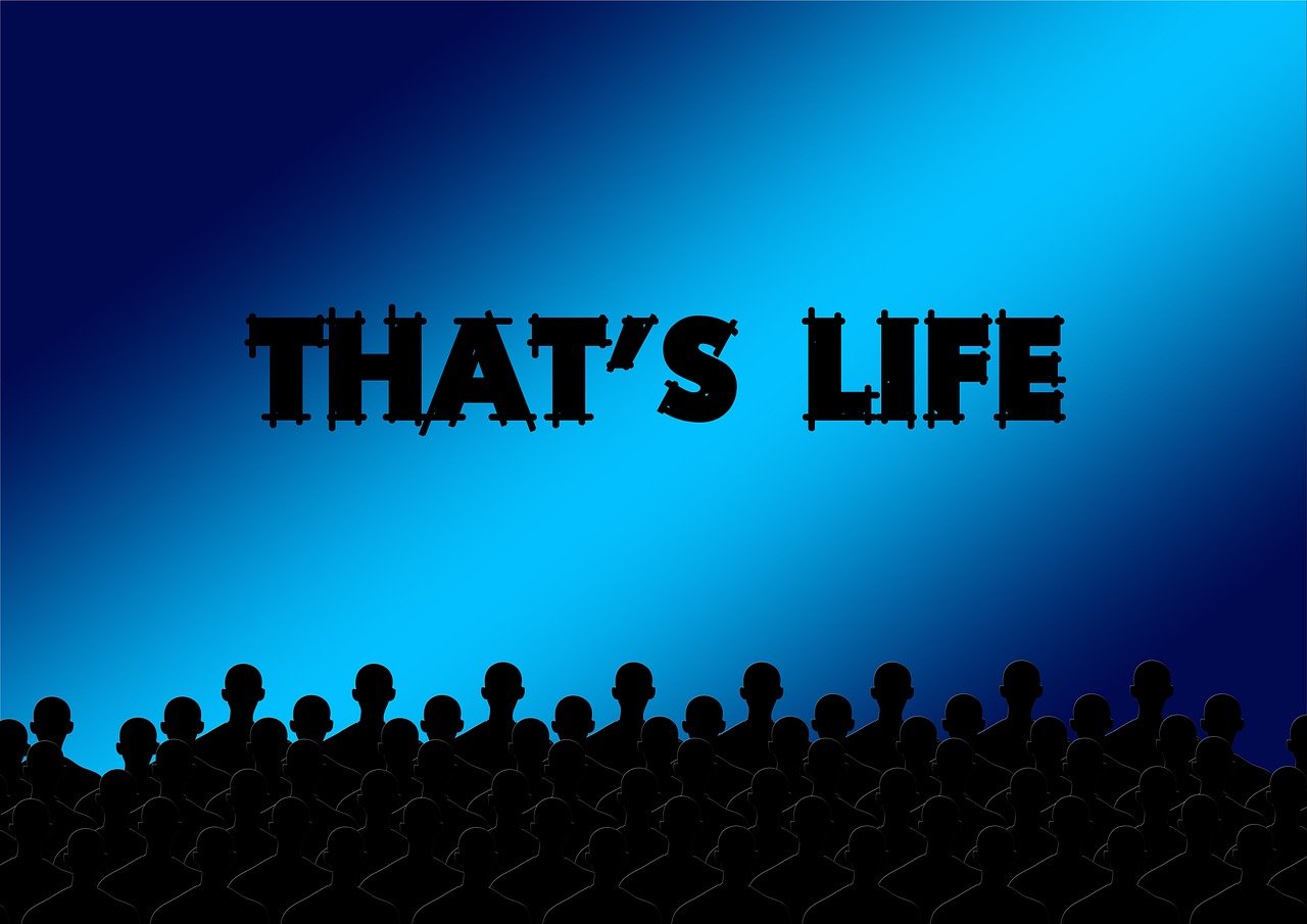 數(shù)字時(shí)代影視新紀(jì)元，探索最新網(wǎng)絡(luò)電影的熱潮