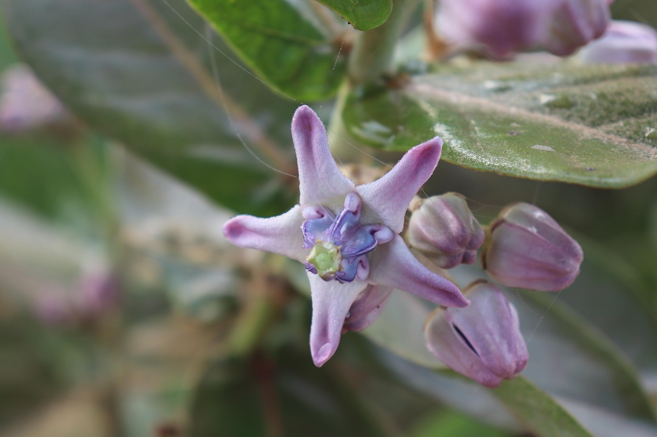 探尋聊城最新動(dòng)態(tài)，新鮮資訊一網(wǎng)打盡