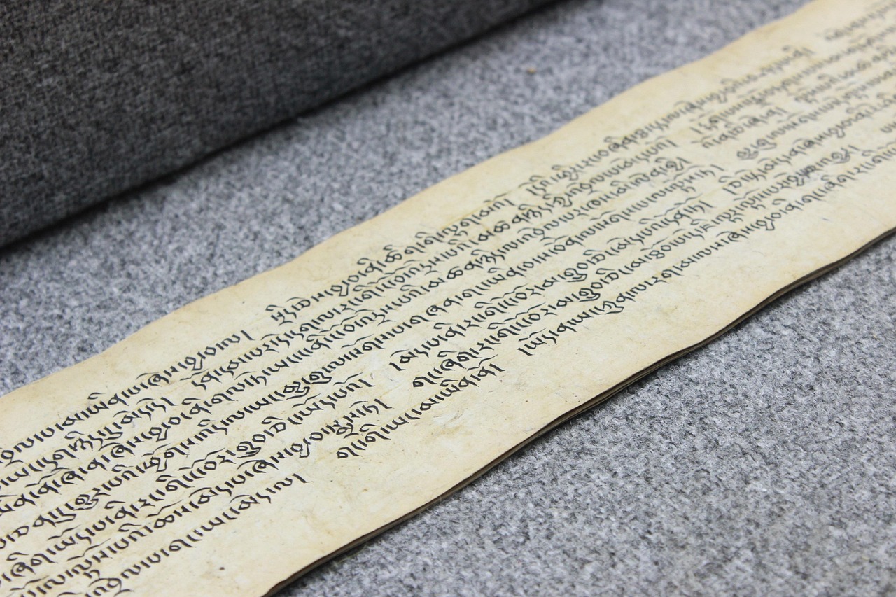 金駿眉茶葉新貴的誕生之旅，上市時間的奧秘探究