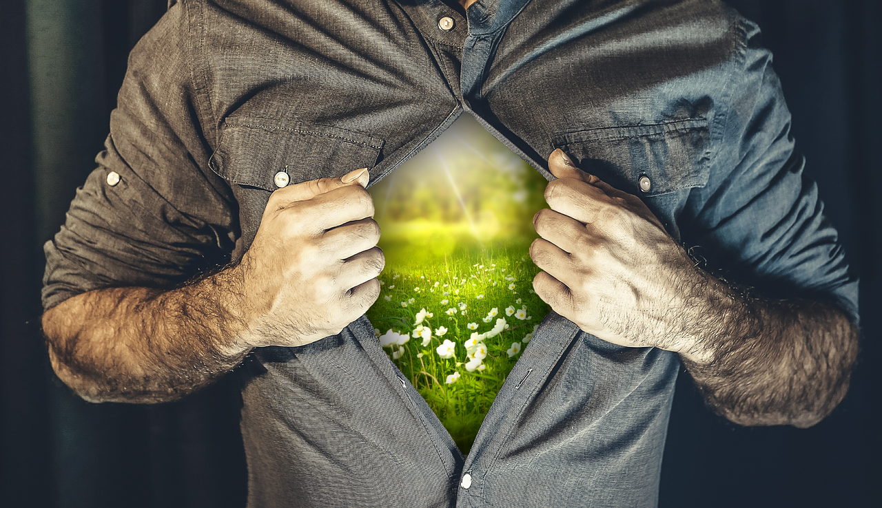 股票凈值解析，含義與重要性的深度理解