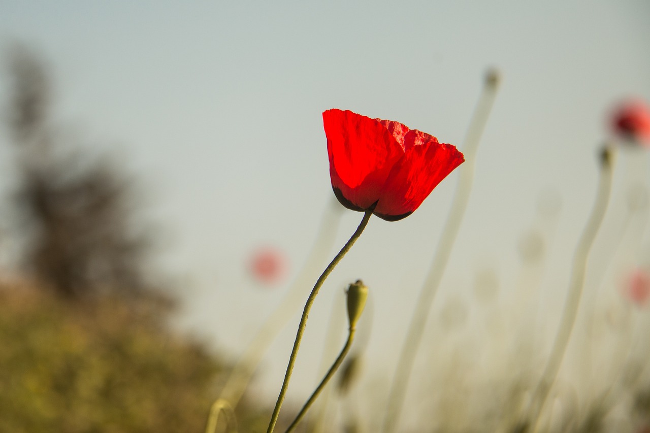 2025年4月 第3頁(yè)