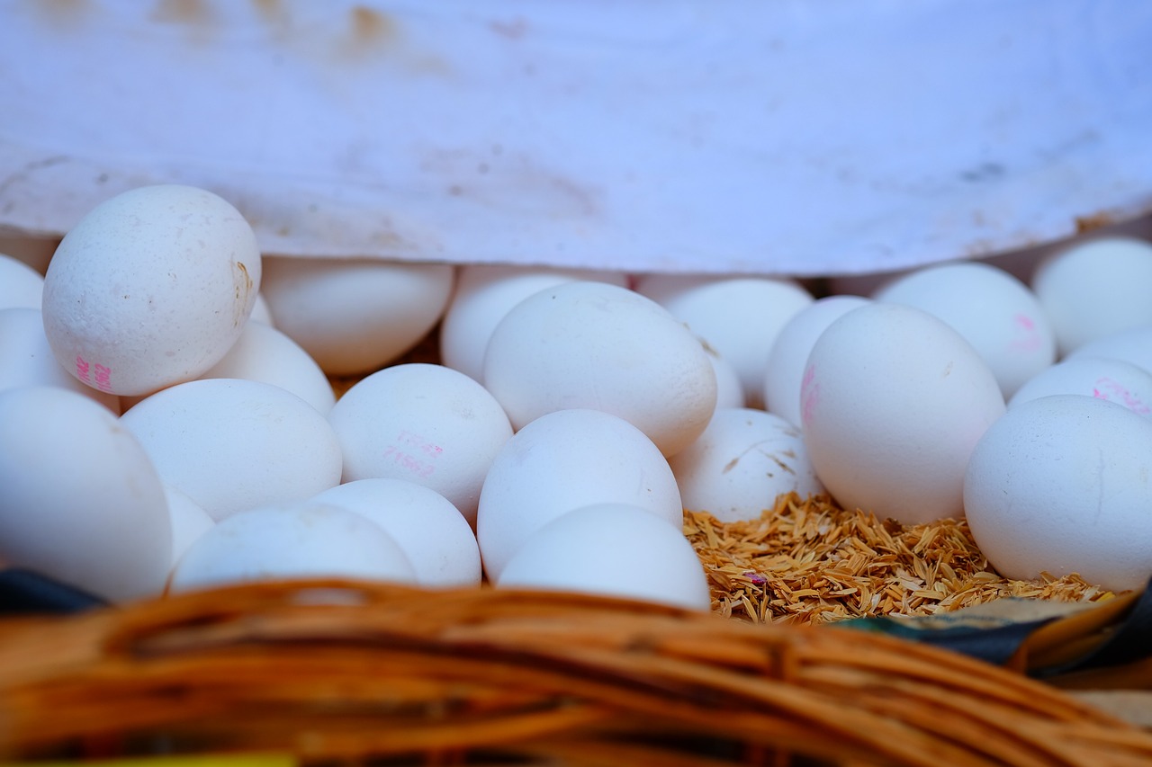 今日羊肉市場最新價(jià)格分析與展望，價(jià)格動(dòng)態(tài)及未來趨勢解析