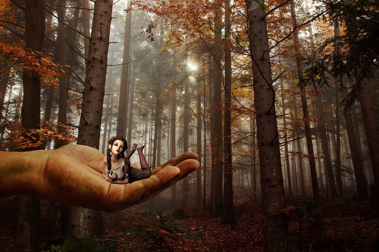 白虎動漫，奇幻之旅探索神秘世界