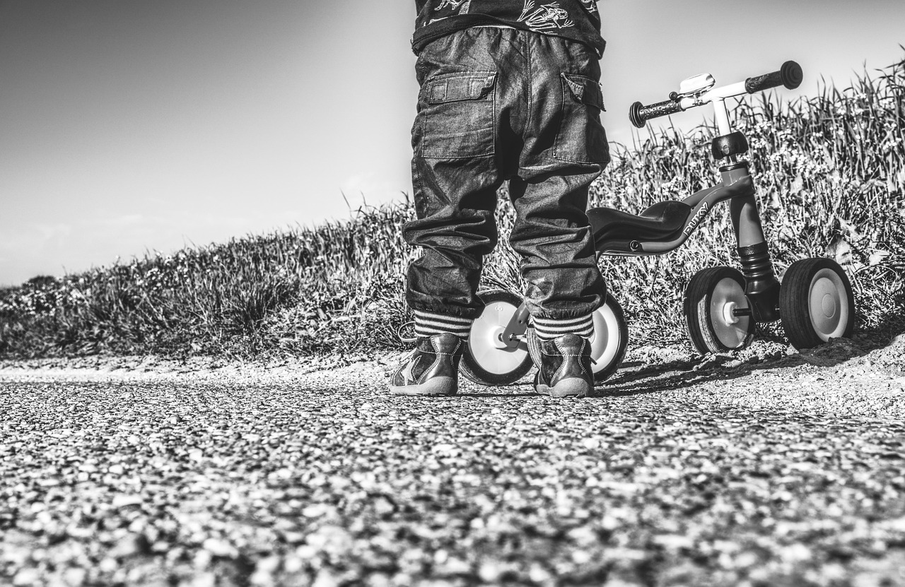 彭澤最新職位招聘動(dòng)態(tài)與展望