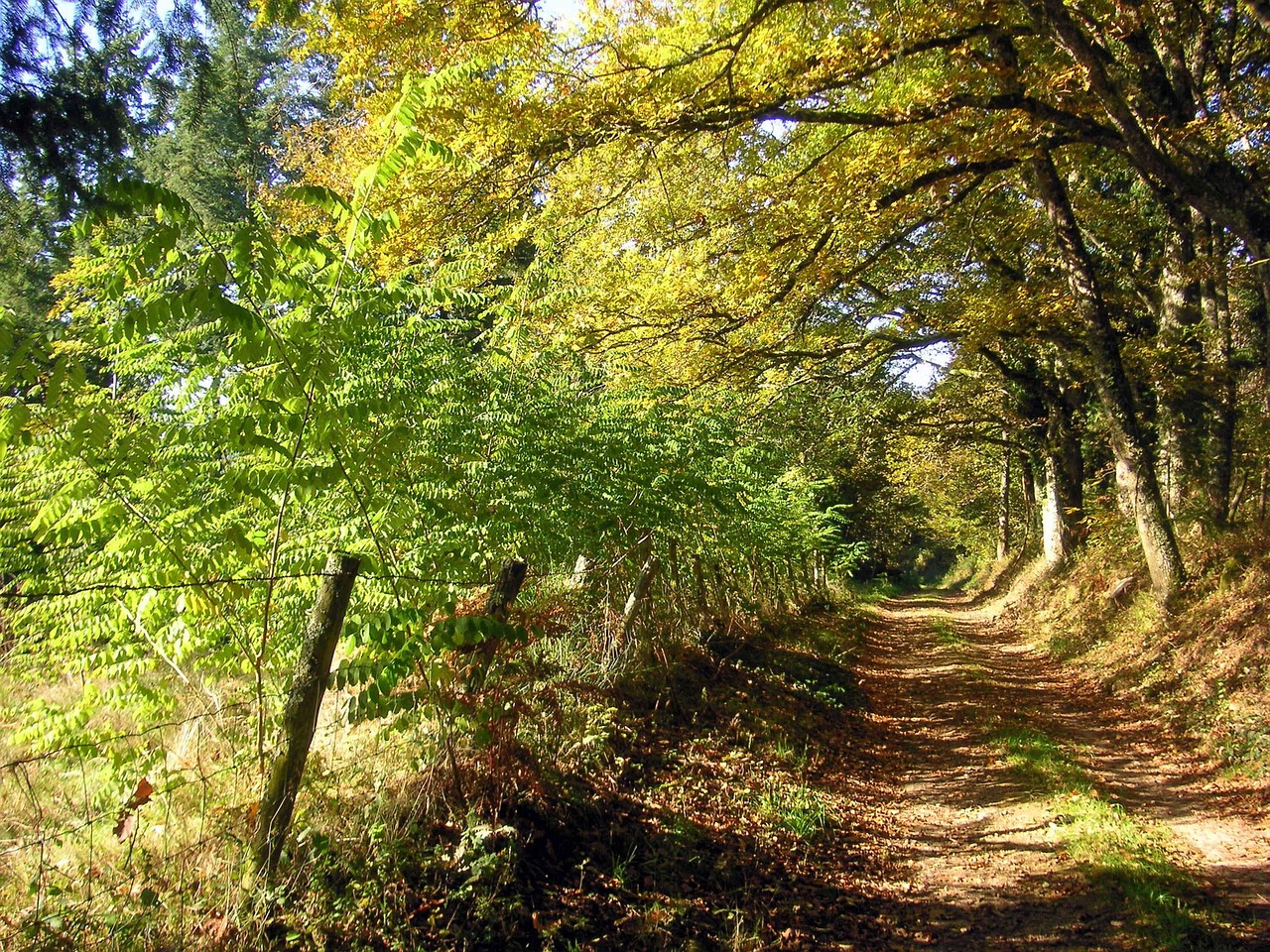 琿春機(jī)場最新動(dòng)態(tài)更新，最新進(jìn)展與消息匯總